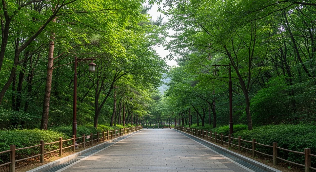 4. 남산 북측순환로: 서울 한복판의 숲속 무장애길